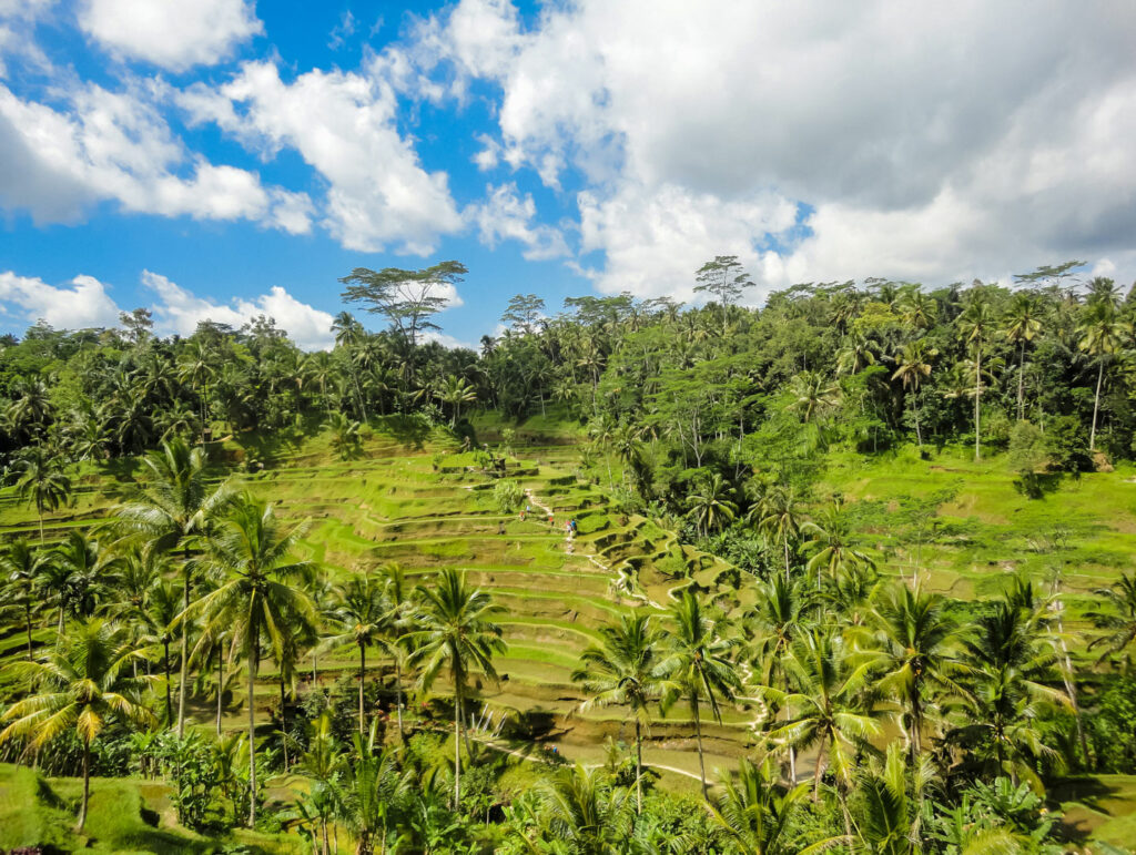 okp-indonesia-exp-(3)