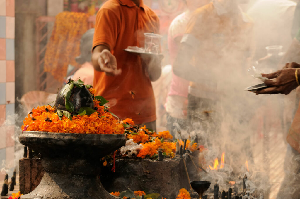 okp-india-rajasthan-exp (5)