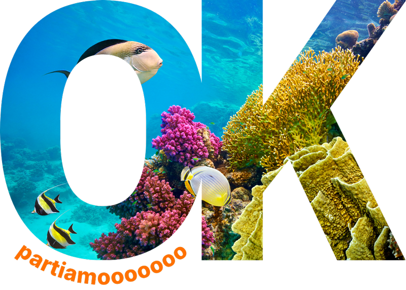 OKP---icone-per-sito--(1)