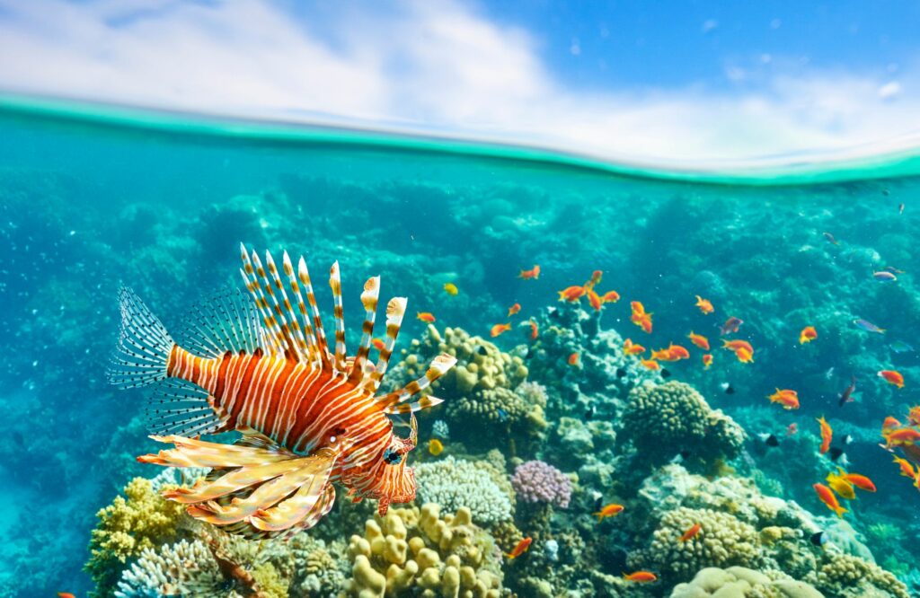 xr:d:DAGB0VRAftQ:65,j:7712838596876104253,t:24040814