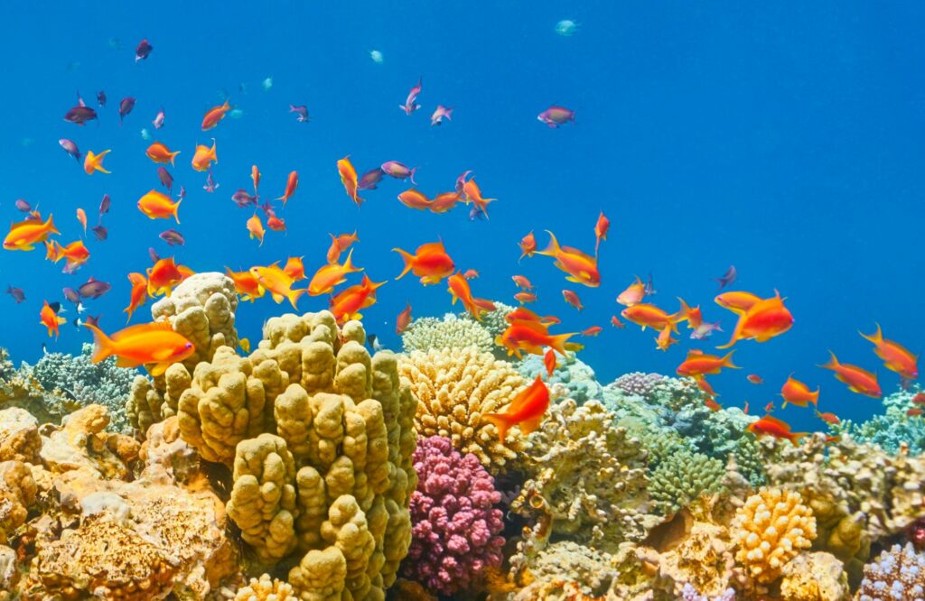 xr:d:DAGB0VRAftQ:65,j:7712838596876104253,t:24040814